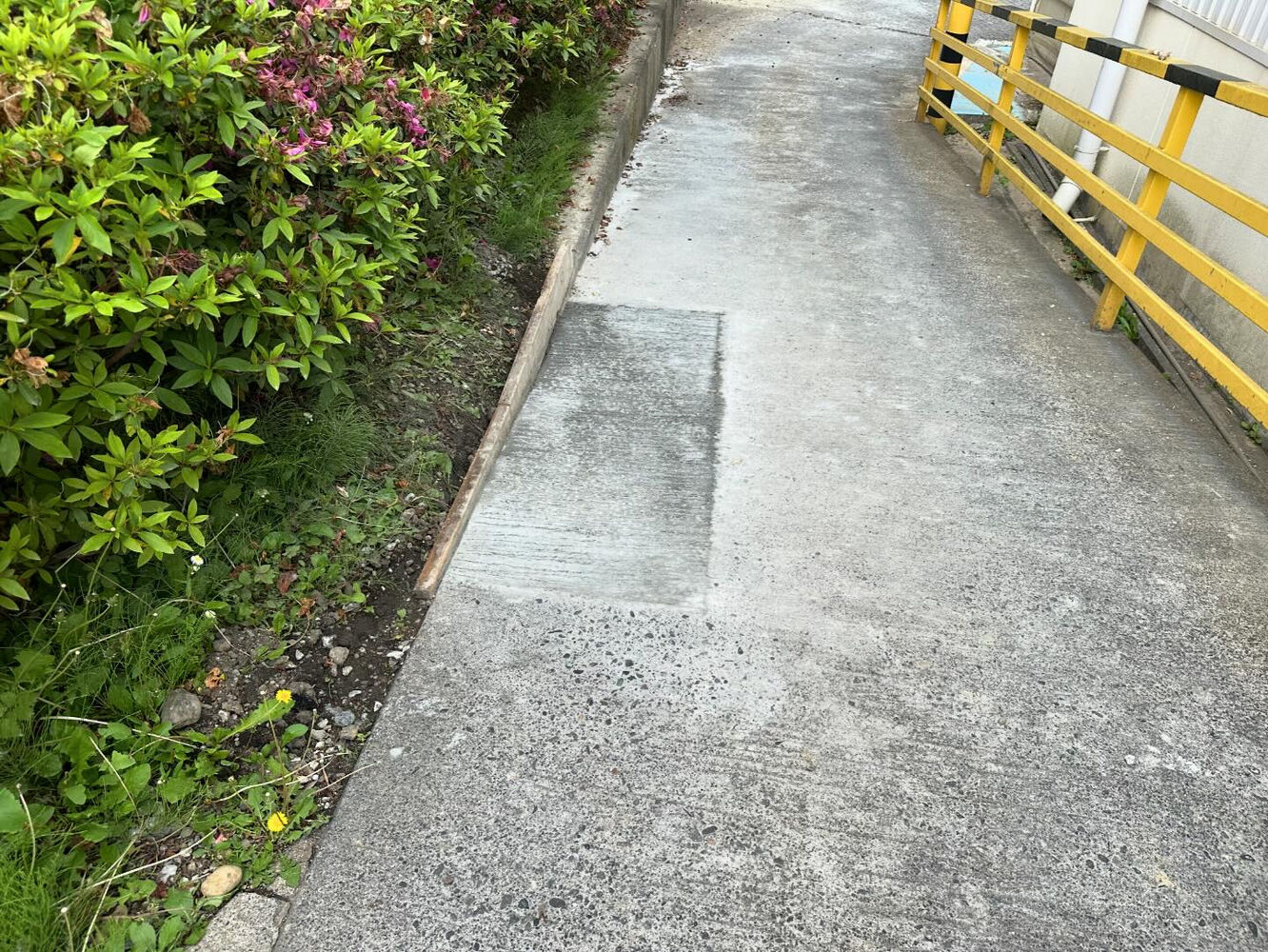 ブログ画像
