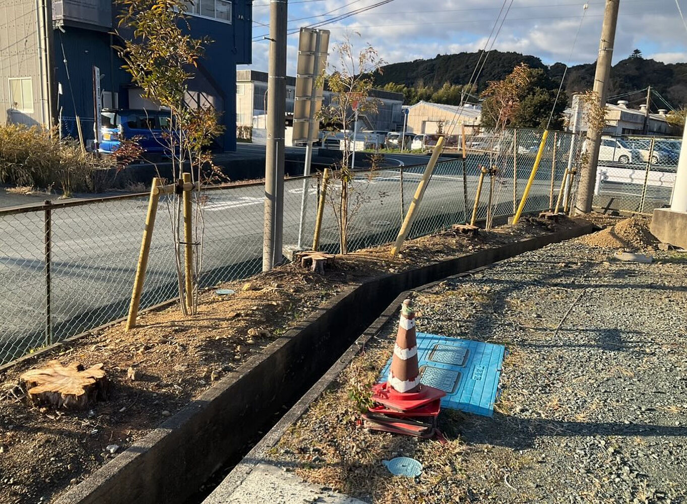 ブログ画像